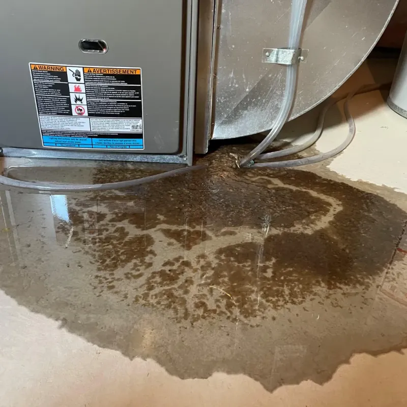 Appliance Leak Cleanup in Mitchell, SD